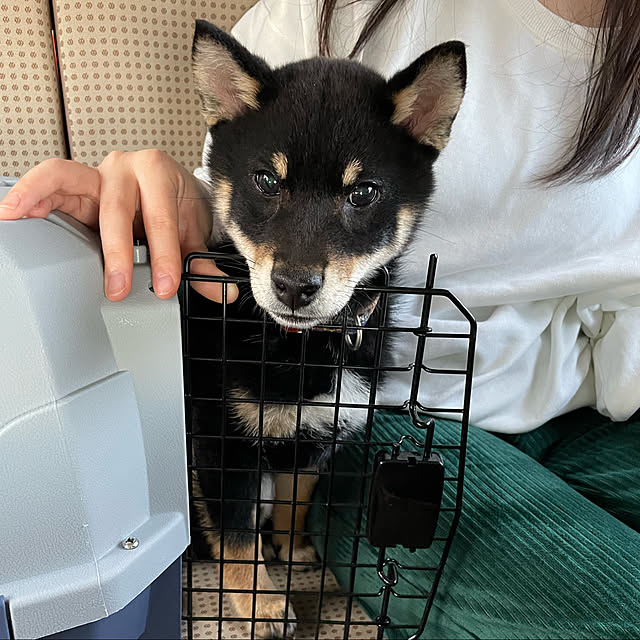 makiさんの実例写真