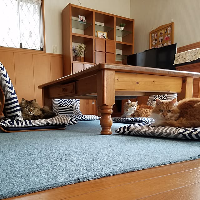 tomotomoさんの実例写真