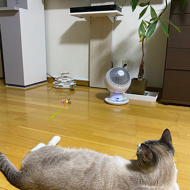 konanaka08さんの部屋