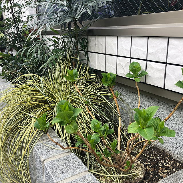 Rororiさんの部屋