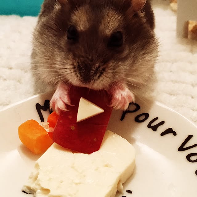 Hamutyaさんの実例写真