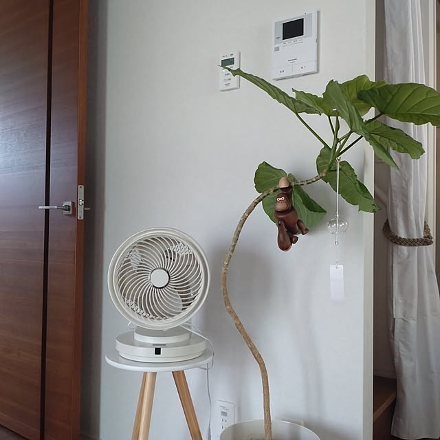 tan5さんの実例写真