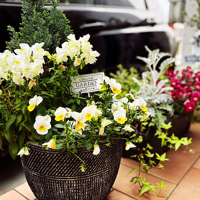 ange0919さんの実例写真