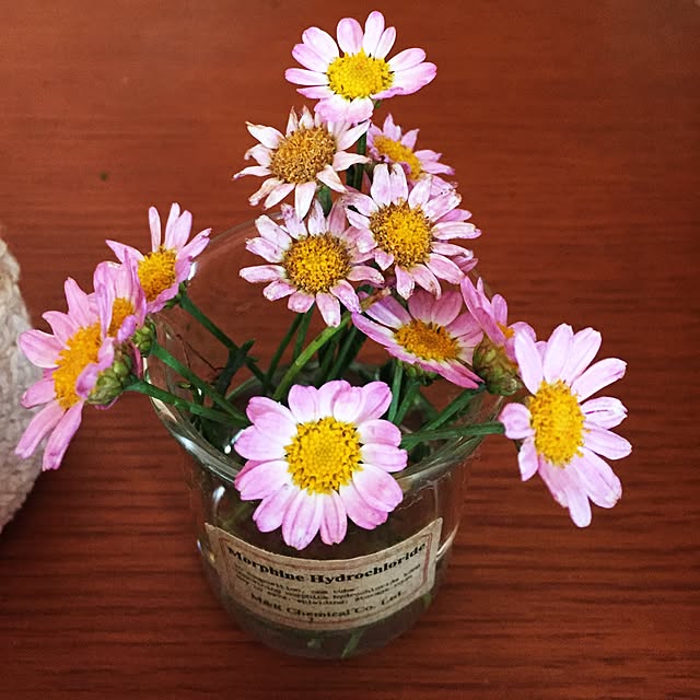 annaさんの実例写真