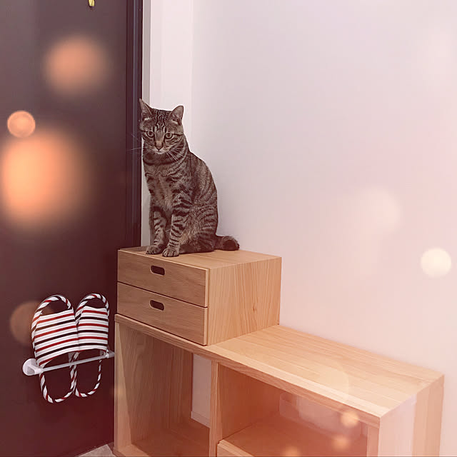 manekiさんの実例写真