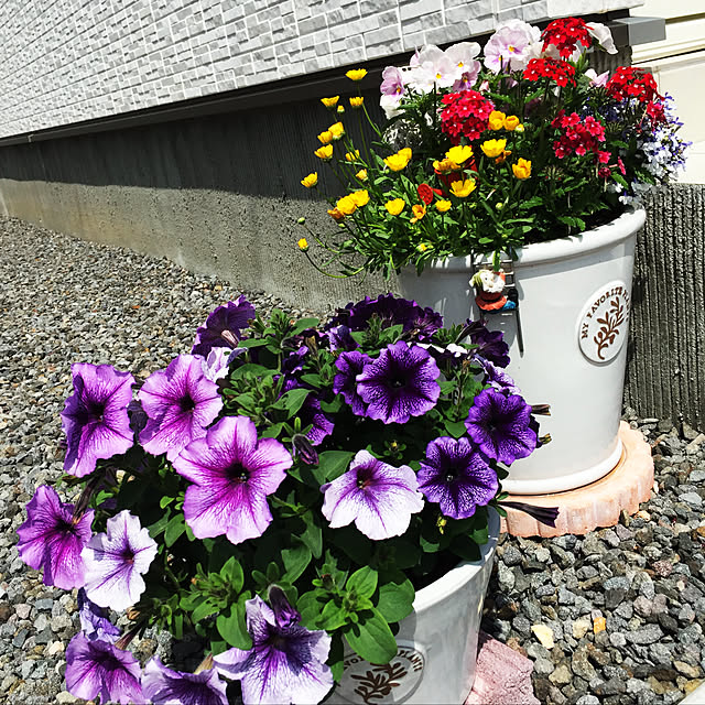 hiyoriさんの実例写真