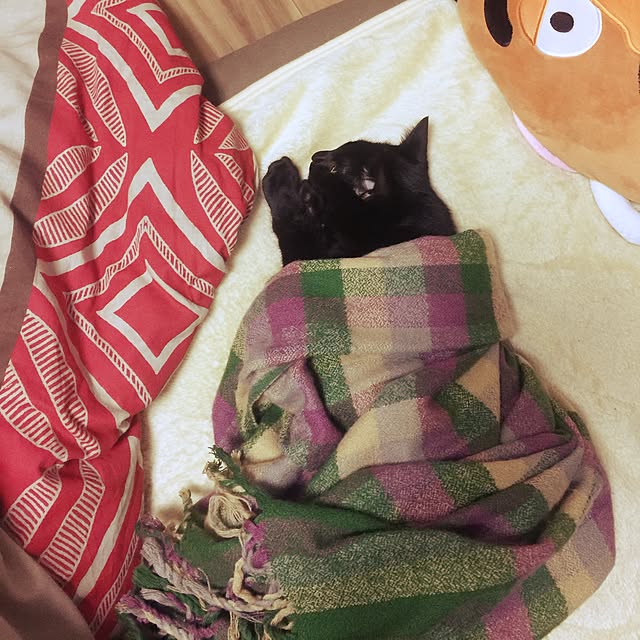 Beeさんの実例写真
