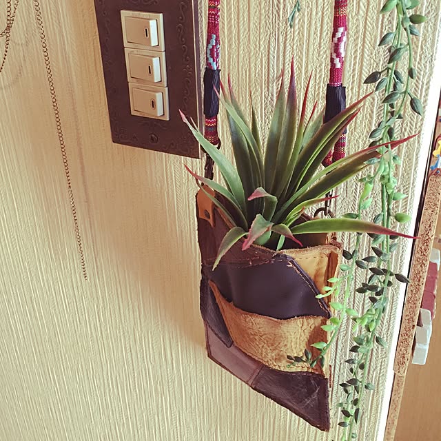 pochi5338さんの実例写真