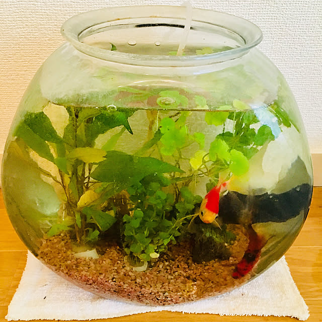 実例写真