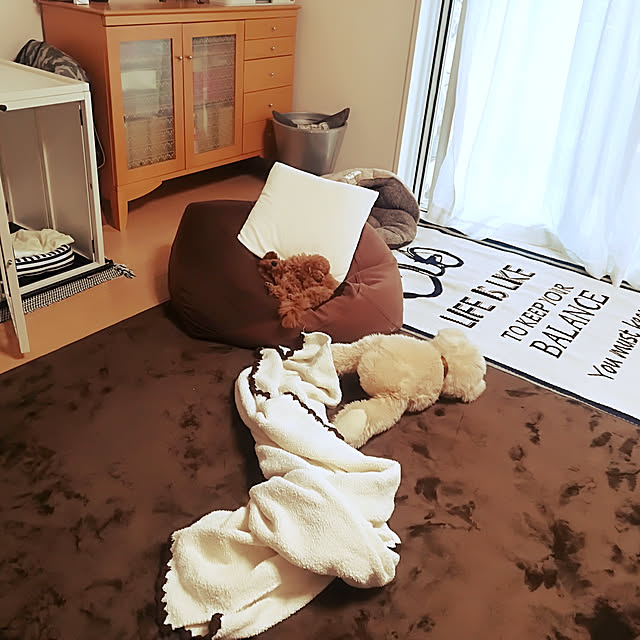 junjunさんの実例写真