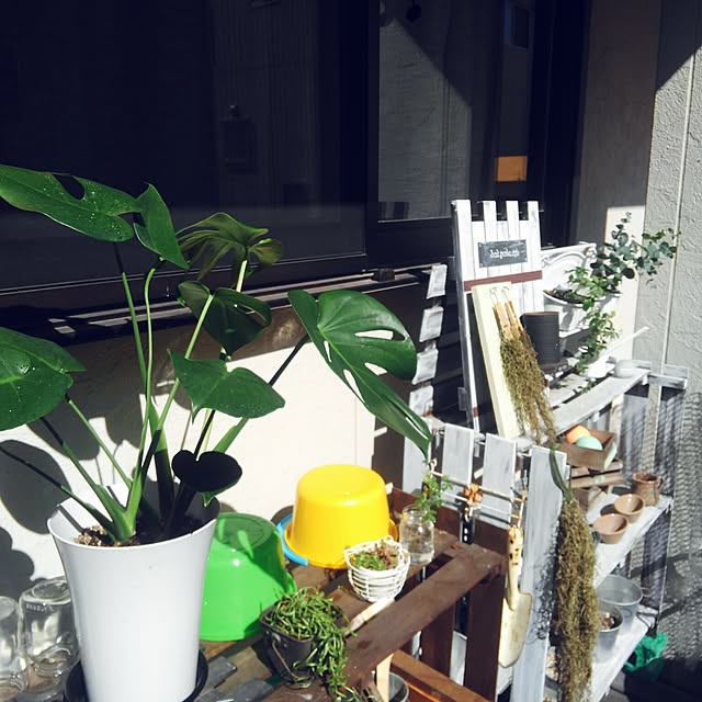 cozylifeさんの実例写真