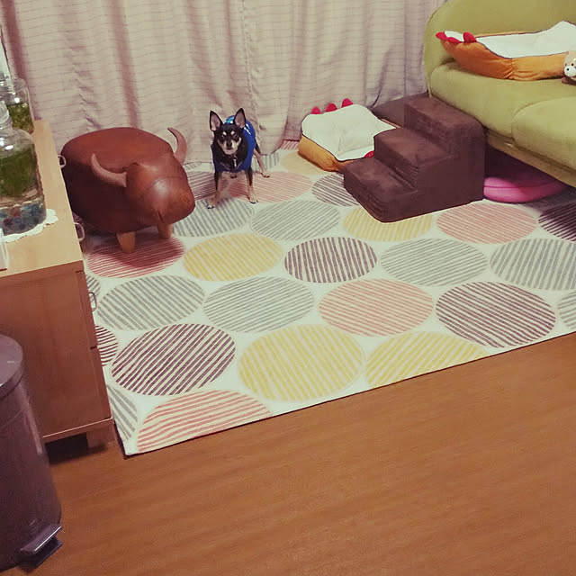 korohukumamanさんの実例写真