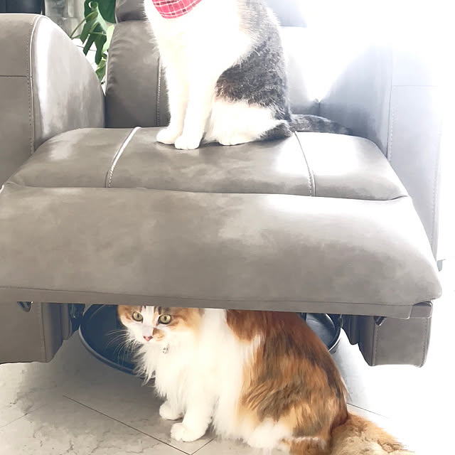 mya___kさんの部屋