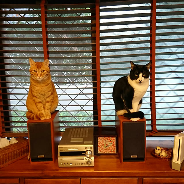 okyosan101さんの実例写真
