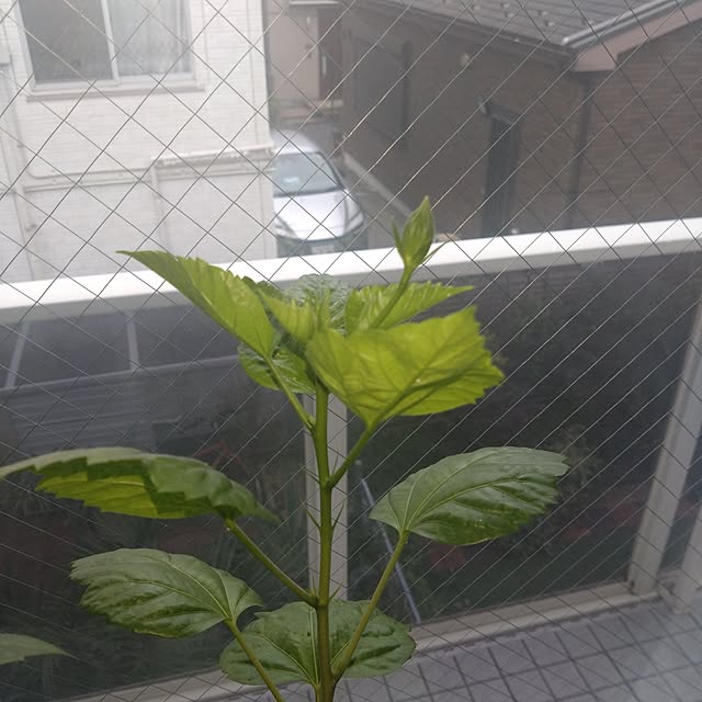NAOKIさんの部屋