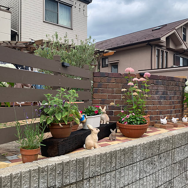 Micchanさんの実例写真