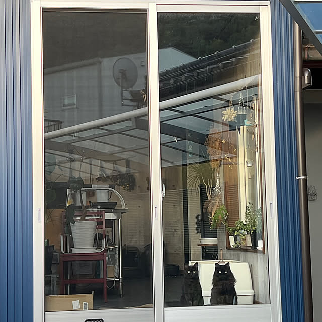 daikichiさんの部屋