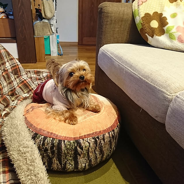 akiさんの実例写真