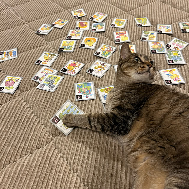 mikomaruさんの部屋