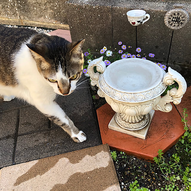 haruminさんの実例写真