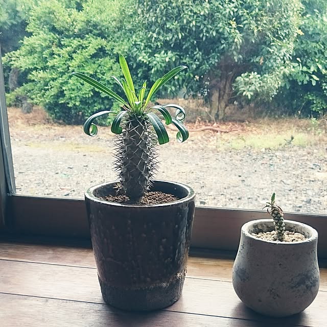 takenさんの実例写真