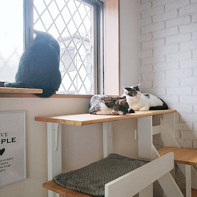 kirakirahikaruさんの実例写真