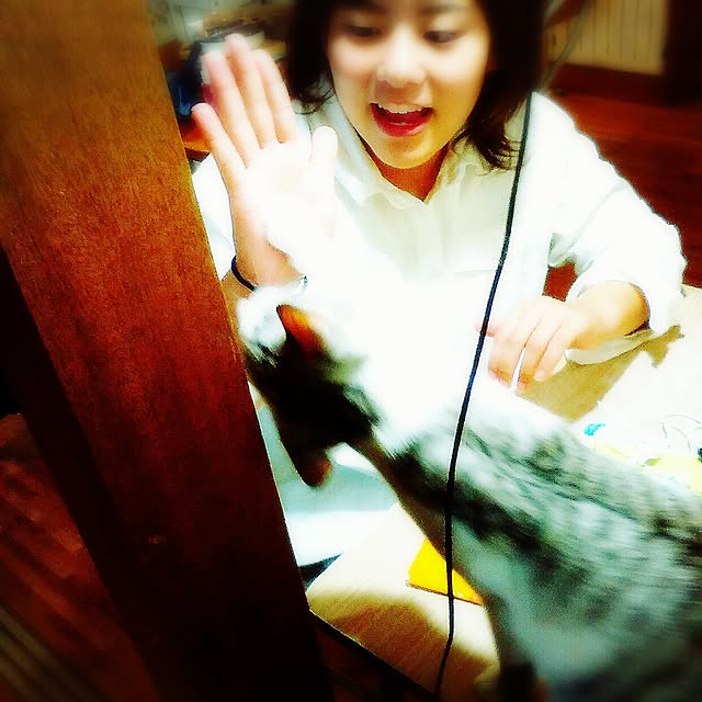 syungikuさんの実例写真