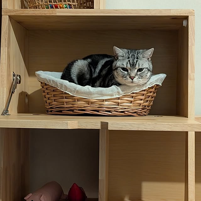 lovepeaceさんの部屋