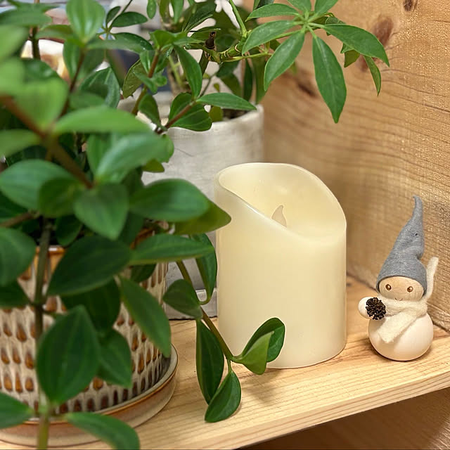 puluさんの実例写真