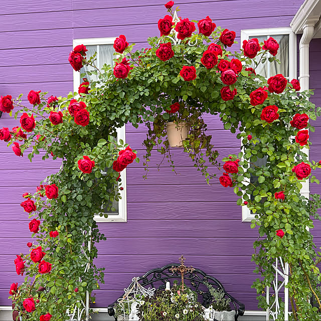 AYUKOさんの実例写真