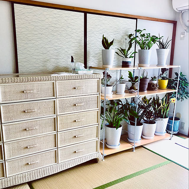 hanachanさんの部屋