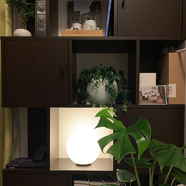 観葉植物/無印良品/照明/一人暮らし/棚のインテリア実例 - 2019-06-24 22:32:39