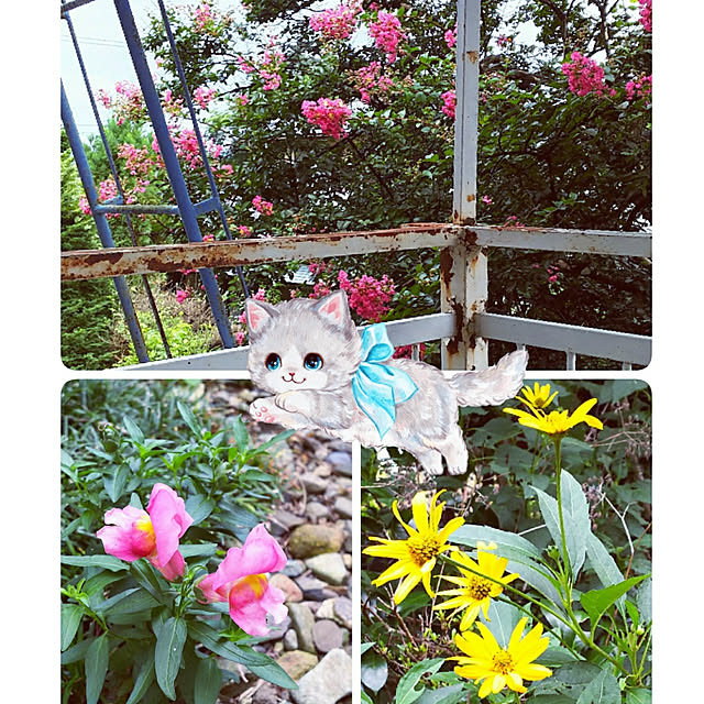cherrycherryさんの実例写真