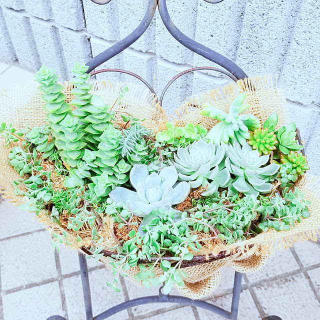 Mikaさんの実例写真