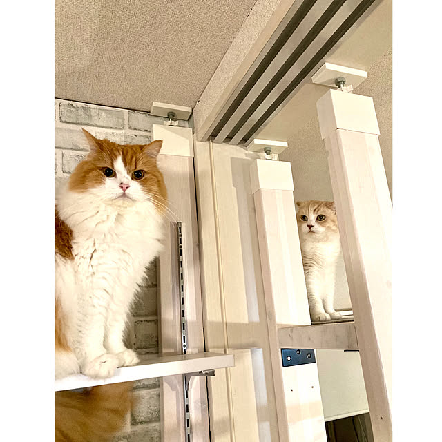 H.Tさんの実例写真