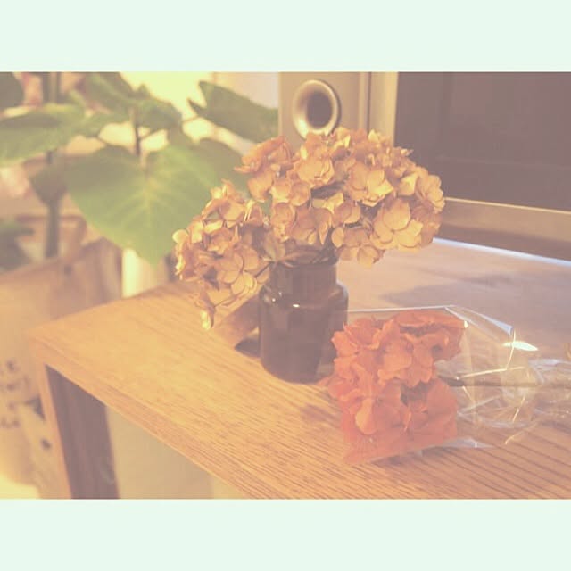 sen.yさんの実例写真