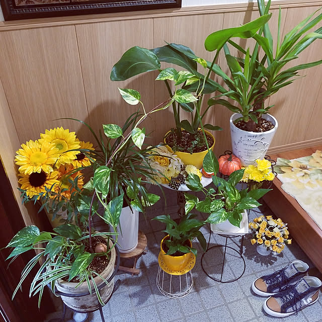 実例写真