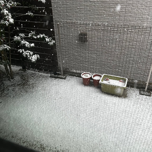 porinさんの部屋