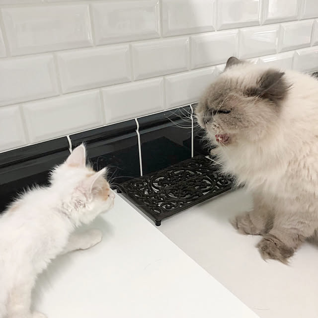 yuchiさんの実例写真