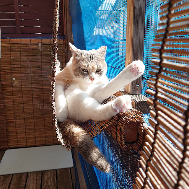 fukuさんの実例写真