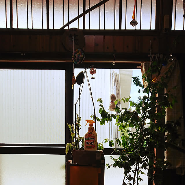 kikuさんの実例写真