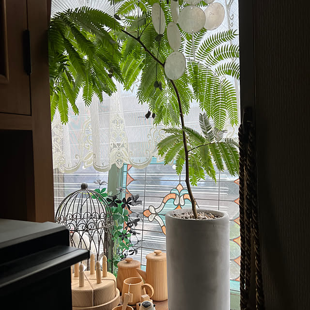 Kuniさんの部屋
