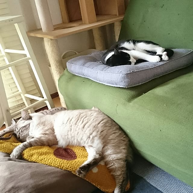 kazaneさんの実例写真
