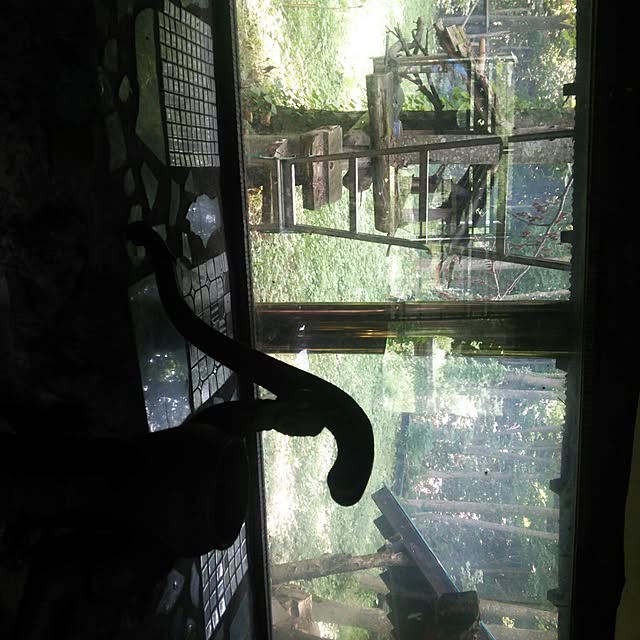 Masatoさんの実例写真