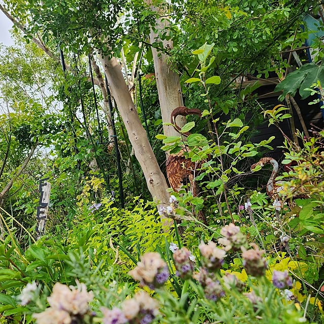 GreenHomeさんの部屋
