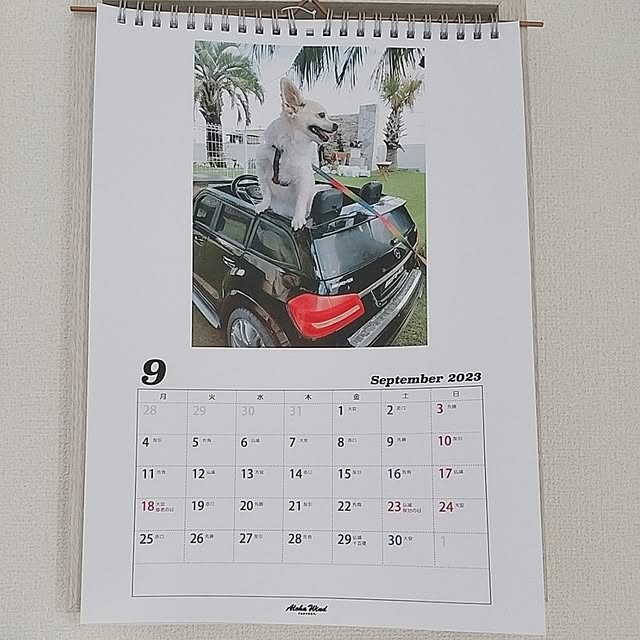 PAOさんの部屋