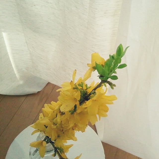 Kumikoさんの実例写真