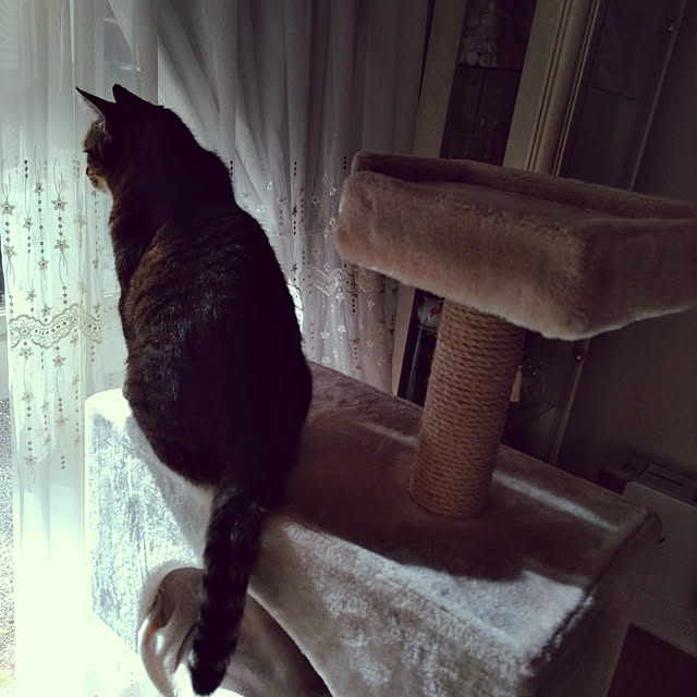 lilyさんの実例写真