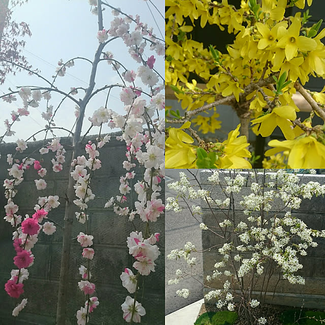 hellotookさんの実例写真