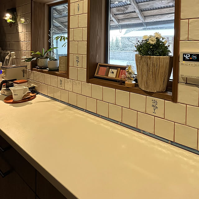 cotaさんの部屋